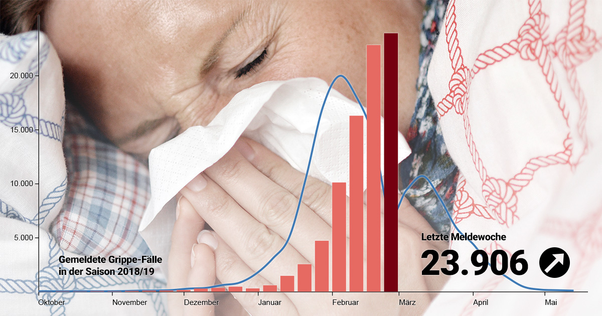 Grippe-Monitor: So hat die Grippe Deutschland im Griff